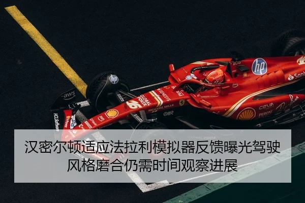 han-mi-er-dun-shi-ying-fa-la-li-mo-ni-qi-fan-kui-bao-guang-jia-shi-feng-ge-mo-he-reng-xu-shi-jian-guan-cha-jin-zhan-2-737.jpg