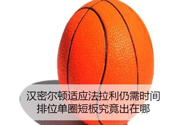 han-mi-er-dun-shi-ying-fa-la-li-reng-xu-shi-jian-pai-wei-dan-quan-duan-ban-jiu-jing-chu-zai-na-2-739.jpg