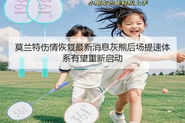莫兰特伤情恢复最新消息灰熊后场提速体系有望重新启动